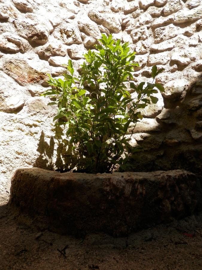 Cali B&B Alatri Dış mekan fotoğraf